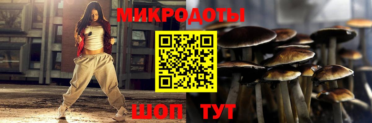 Галлюциногенные грибы GOLDEN TEACHER  Псилоцибиновые грибы GOLDEN TEACHER  Пугачёв  Вход с VPN 