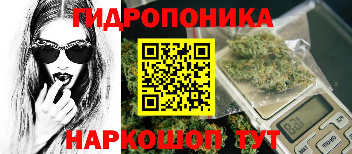 Бошки Шишки семена  Бошки Шишки MAZAR  Пугачёв  Вход с VPN  Бошки Шишки индика 